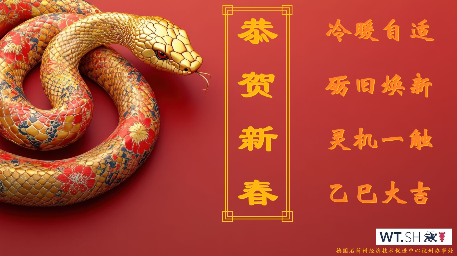 蛇年春节.jpg